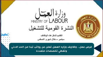 فرص عمل.. وظائف وزارة العمل تعلن عن رواتب تبدأ من الحد الأدنى وتغطي تخصصات متعددة